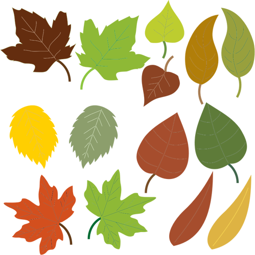 Variety of leaves