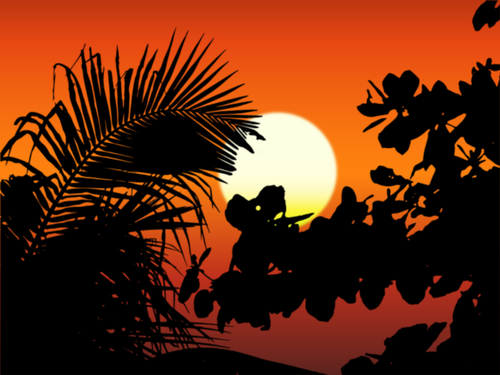 Coucher de soleil silhouette