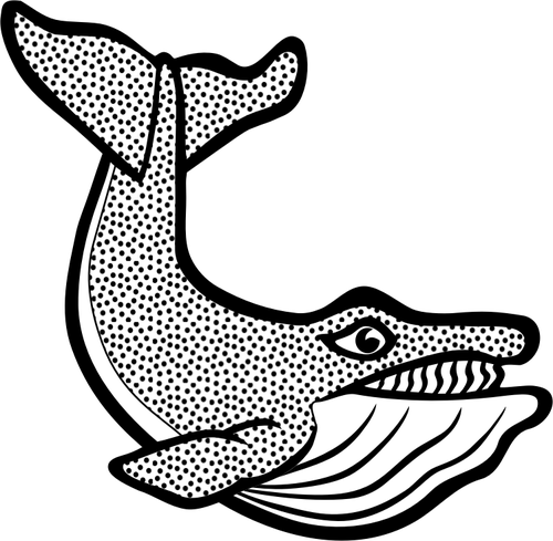 Obrázek flekatá velryba