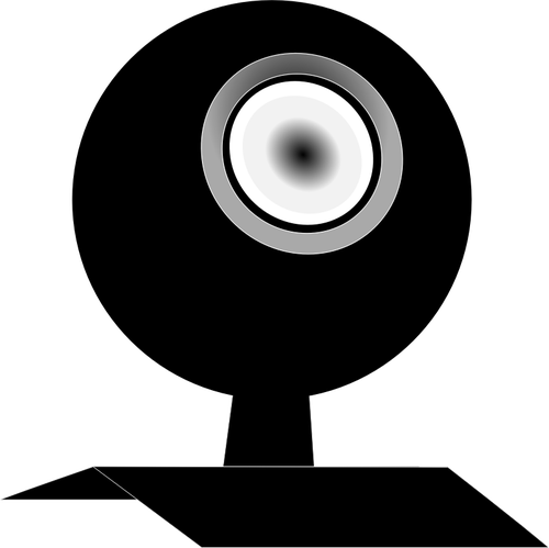 Svart-hvitt webcam vektorgrafikk