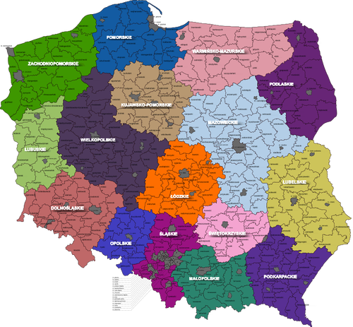 Polonya harita ilçeleri küçük resim vektör