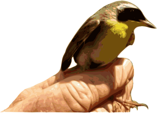 Gele keel vogel op een hand-vectorafbeeldingen