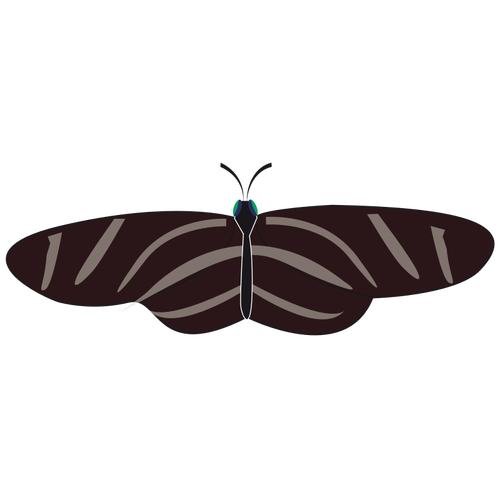 Vektorové kreslení zebra Butterfly