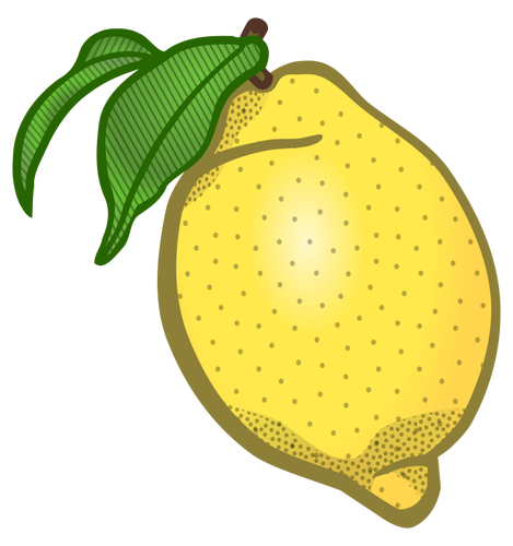 Citron vektor ClipArt