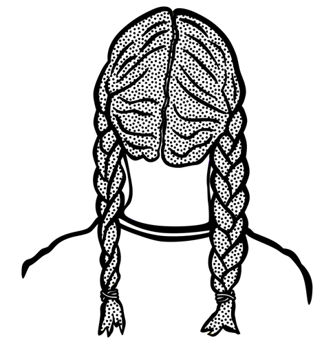 Braids छवि