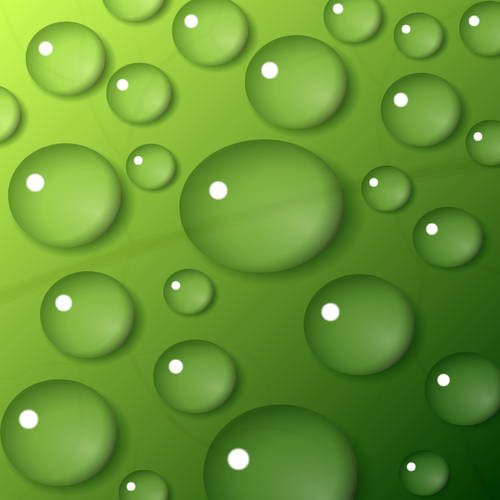 Water drops on green background vector image