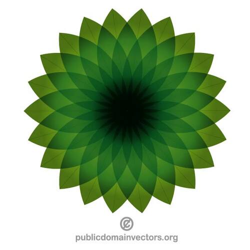 Graphiques vectoriels rosette verte