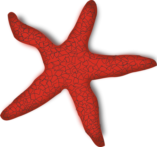 Gráficos vectoriales de estrella de mar rojo