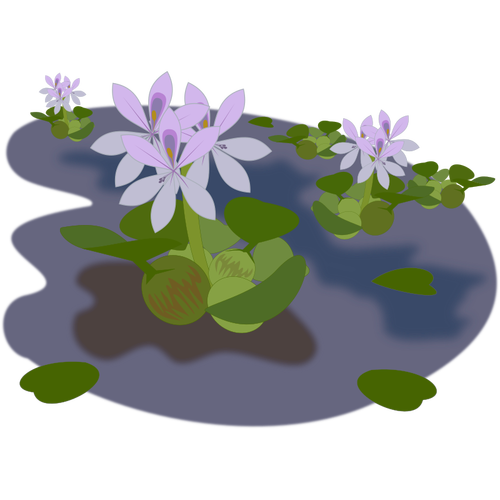 Violette Pflanze