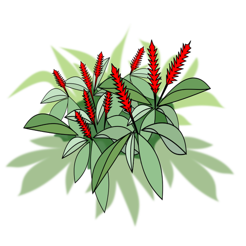 붉은 꽃과 식물