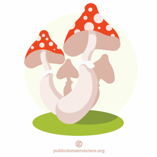 비행 agaric