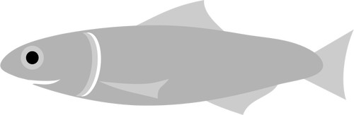 Sardellen-Fisch