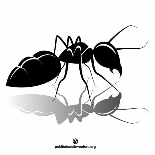 Ant vektor ClipArt-bild