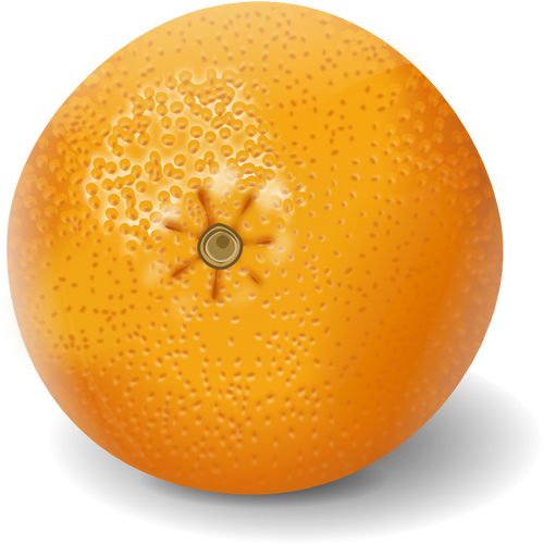 البرتقال الفاكهة كليب الفن