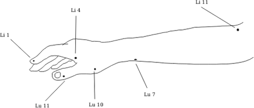 前部の腕図ベクトル画像