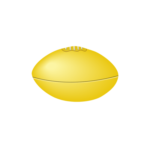 Règles Aussie football ball vector image