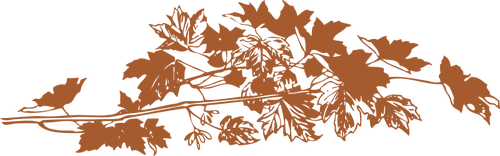 Vector Illustrasjon av brun Høstløv