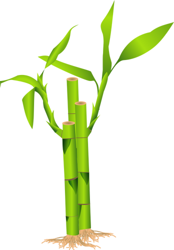 Close-up van bamboe stengel vectorillustratie