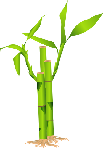 Closeup of bamboo stalk vector illustration