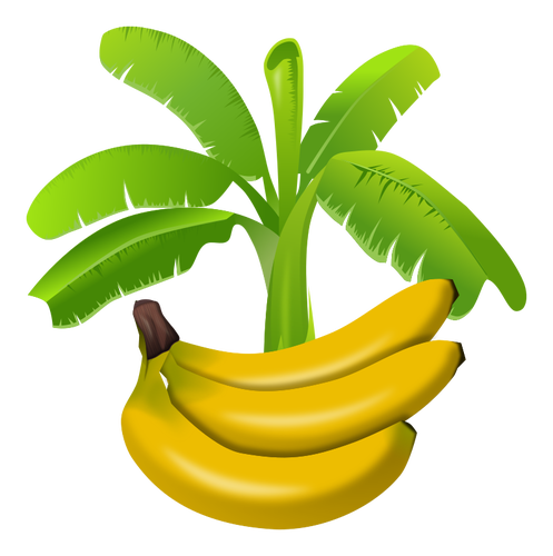 Färgglada bananplanta med frukter under grafik