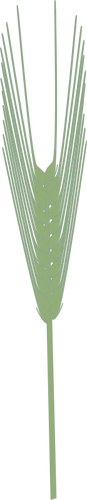 Gerste-Pflanze-Vektor-ClipArt-Grafiken