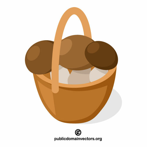 Basket of mushroom vector image