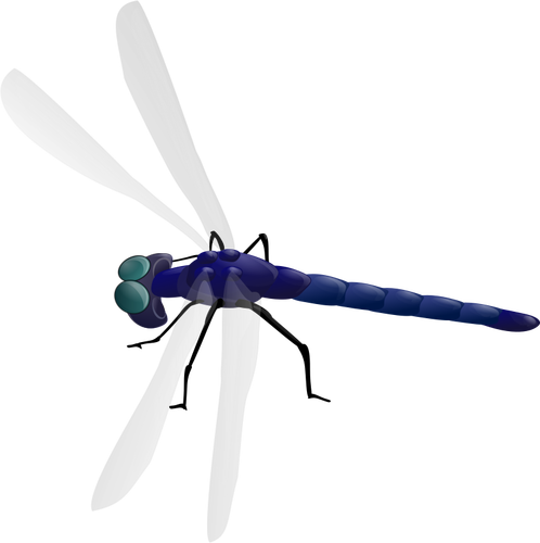 Dragonfly kresba