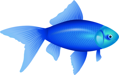 Vectorillustratie van blauwe goudvis