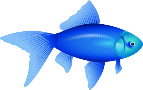 Vektor ilustrasi ikan mas biru