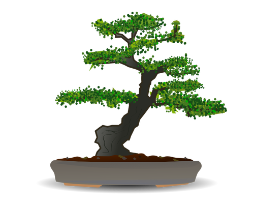 עץ בונסאי ציור וקטורי