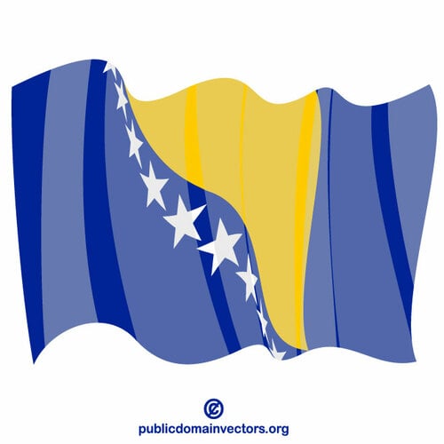 Bosna-Hersek bayrağı sallıyor