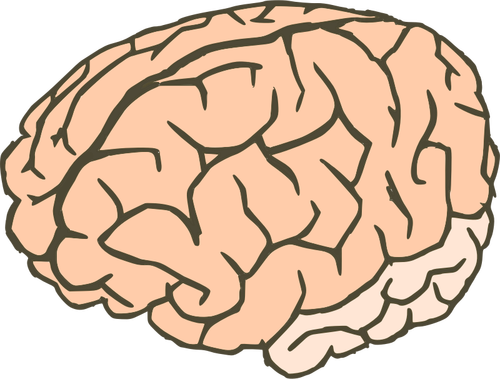 Vektor seni klip otak manusia dalam 2 warna