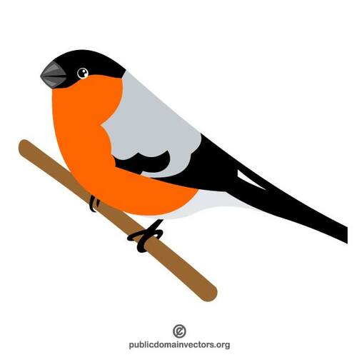 Bullfinch fugl