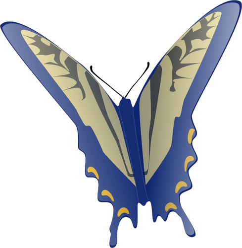 Mariposa azul