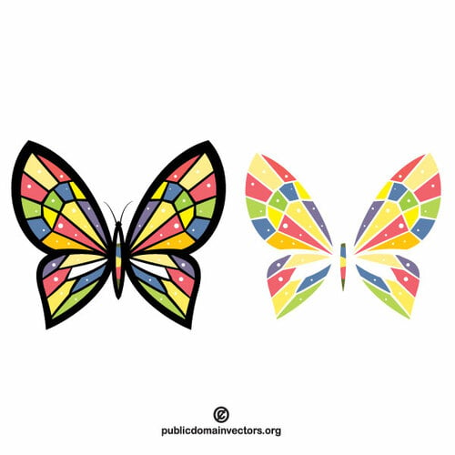 Fluture cu aripile colorate