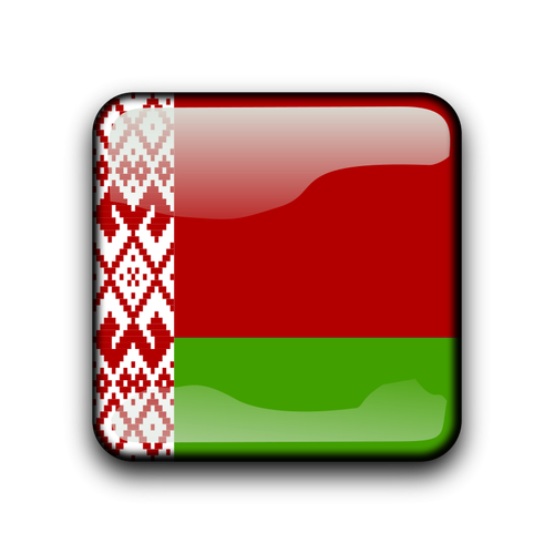 Belarus flag vector