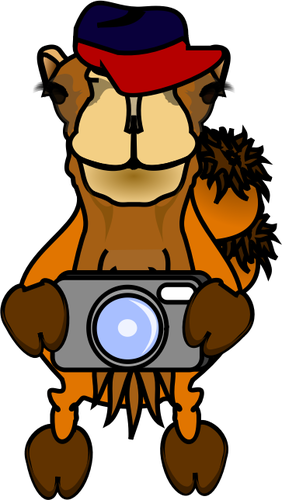 骆驼摄影师