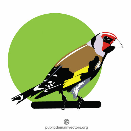 Pájaro de Carduelis