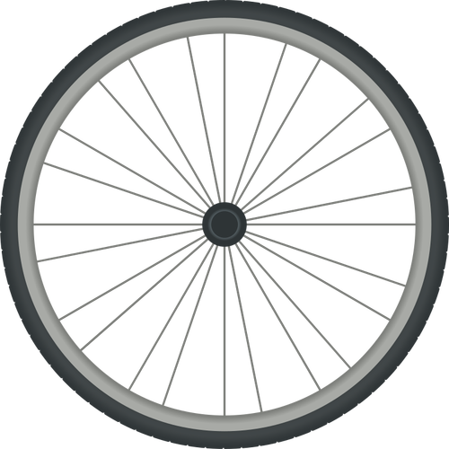 Ruota di bicicletta