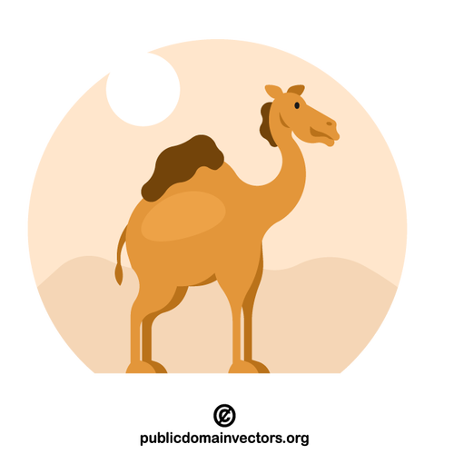 Big camel