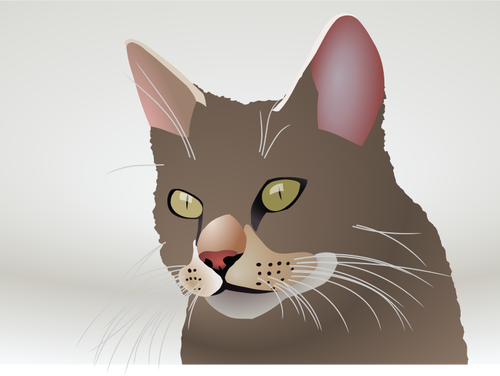 Vector de la imagen de un gato