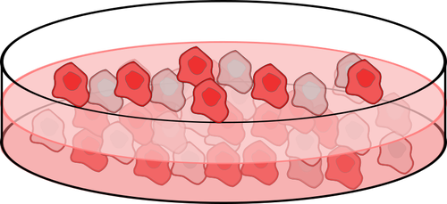 Imagen de la placa de cultivo celular