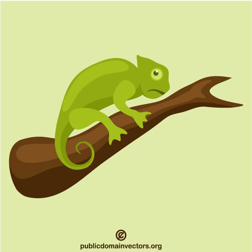 Kameleon wektor clipart