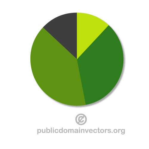 Infographic diagramei vectoriale