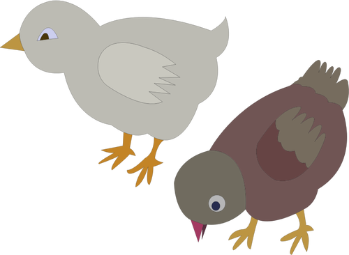 Векторная Иллюстрация двух цветных кур, роуминг вокруг