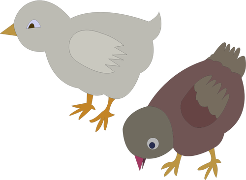 Illustration vectorielle de deux poules de couleurs autour de l