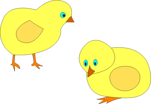 Image vectorielle de deux poussins jaunes autour de l