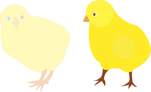 Grafika wektorowa dwa piskląt w różnych odcieniach żółtego