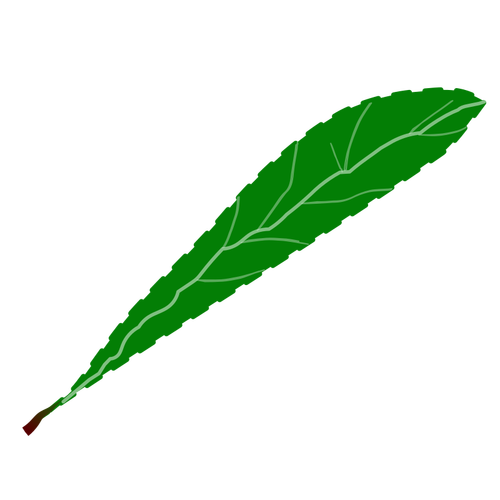 Gröna kronblad