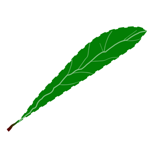 Petal verde